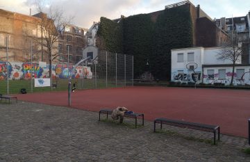 IMG_20230117_160310